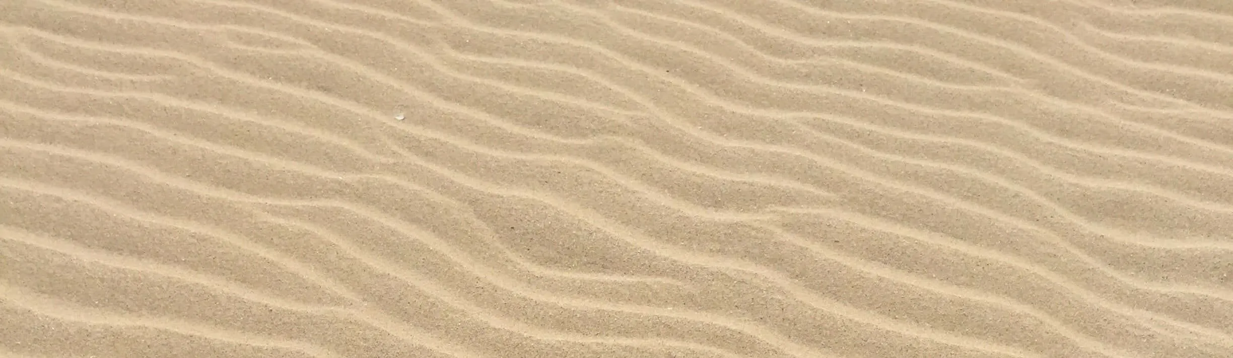 Wind-shaped ripples across pale sand.
