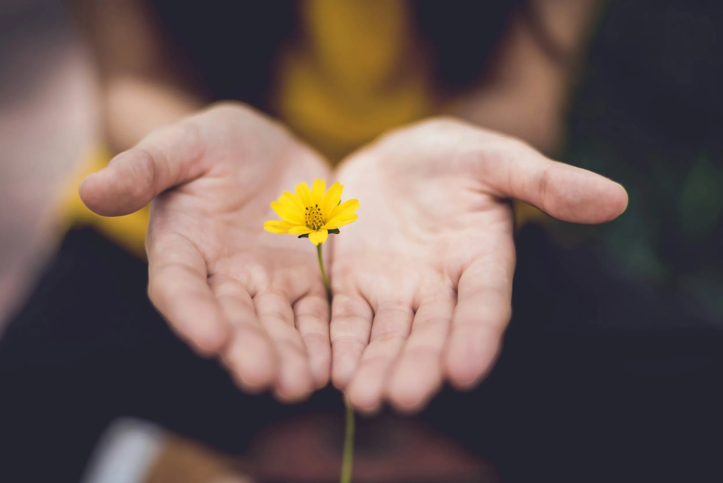 image of a person holding flower